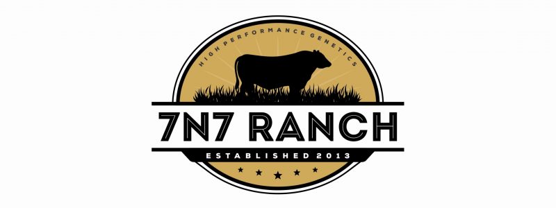 7n7 Ranch