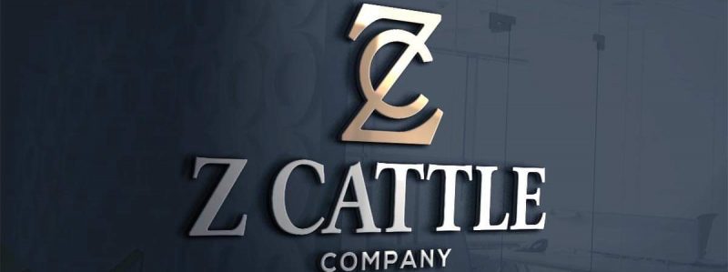 Z Cattle Company