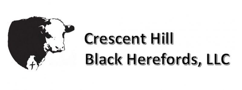 Crescent Hill Black Herefords