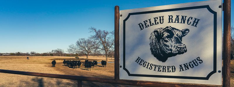 Deleu Ranch - Registered Angus