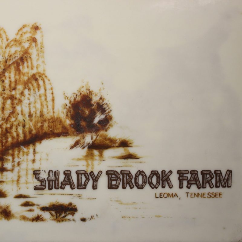 Shady Brook Angus Farm