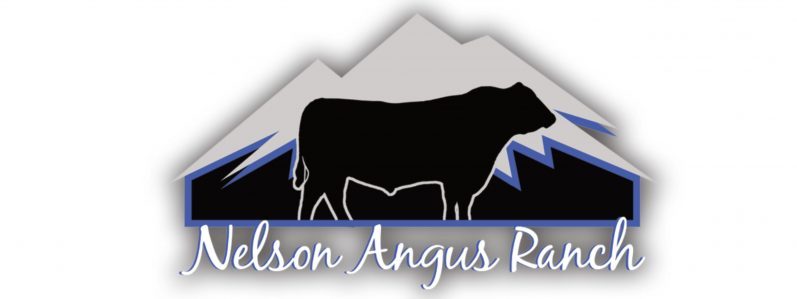 Nelson Angus Ranch