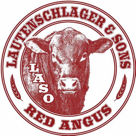 Lautenschlager and Sons Red Angus